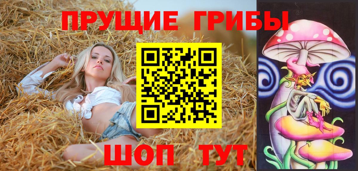 Галлюциногенные грибы GOLDEN TEACHER  Вход с VPN  Псилоцибиновые грибы ЛСД  Красногорск 
